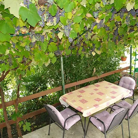 Tanja 2 Apartman